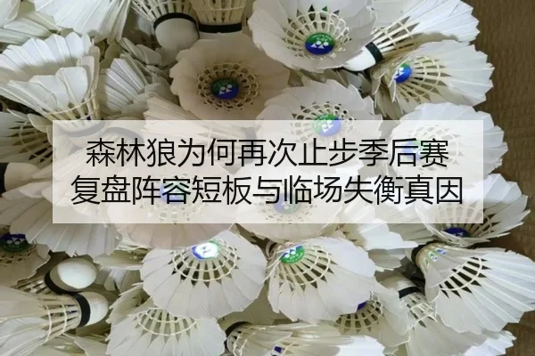 img_1780215571383_6_2_318.jpg